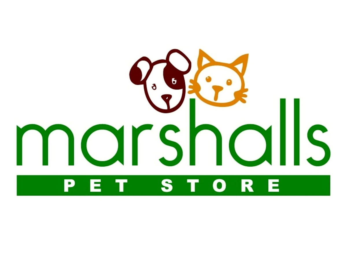 Pawsh dog hotsell bed marshalls