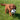 Chase Grab Tabs Football Dog Toy
