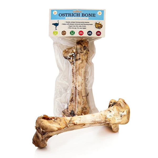 JR Large Ostrich Bone