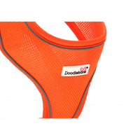 Doodlebone Airmesh Harness in Tangerine