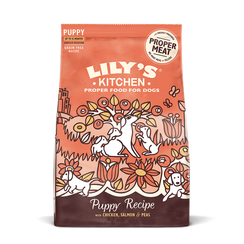 Lily's Kitchen Chicken & Salmon Dry Food for Puppies