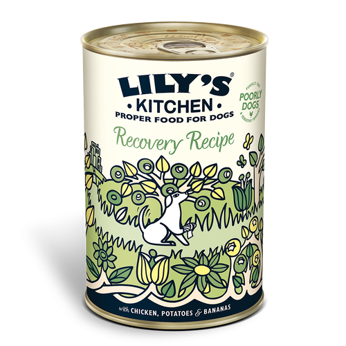 Lilys Kitchen Recovery Recipe for Dogs 400g